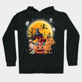 Dachshund Dog Mummy Witch Moon Ghosts Happy Halloween Thanksgiving Merry Christmas Day Hoodie